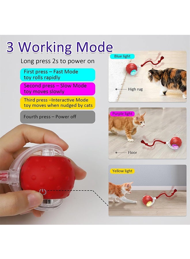 Interactive Cat Toys Ball for Indoor Cats Fast Rolling on Carpet, Chirping & Motion Activate Cat Toys - Image 4